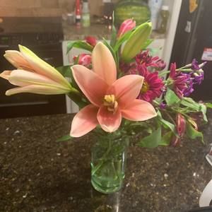 Meet your Posher, Susan